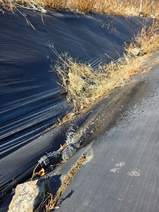 행운아님의 고추 · 영농일지 작성글 사진