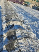 팜모닝 마늘·영농일지 게시글 이미지