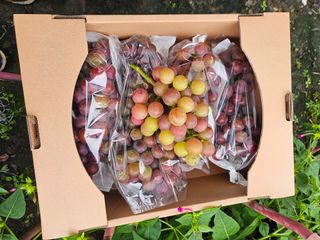 정일선님의 작성글 사진