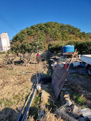 옥재벌님의 기타작물 · 영농일지 작성글 사진