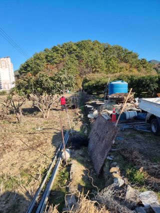 옥재벌님의 기타작물 · 영농일지 작성글 사진