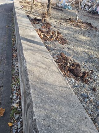 김용대님의 두릅 · 영농일지 작성글 사진