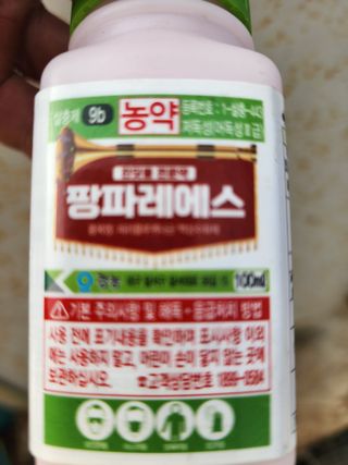 김삼천님의 오이 · 영농일지 작성글 사진