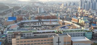 박상중님의 기타작물 · 영농일지 작성글 사진