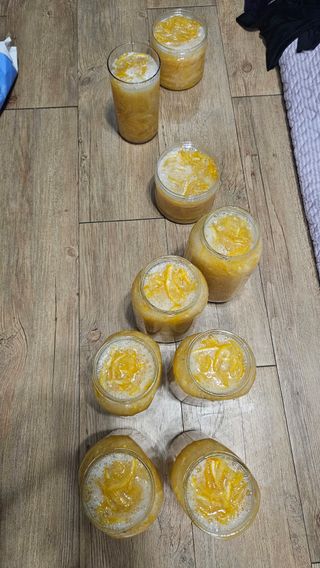 옥재벌님의 기타작물 · 영농일지 작성글 사진