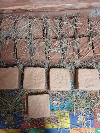 최광순님의 콩 · 영농일지 작성글 사진