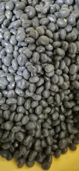 팜모닝 콩·영농일지 게시글 이미지