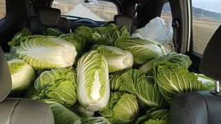 개구리5412님의 기타작물 · 영농일지 작성글 사진