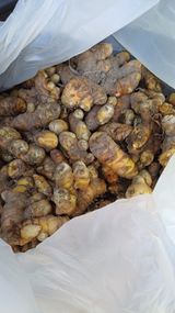 팜모닝 기타작물·영농일지 게시글 이미지