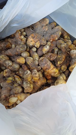 개구리5412님의 기타작물 · 영농일지 작성글 사진