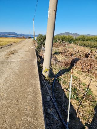 옥재벌님의 기타작물 · 영농일지 작성글 사진