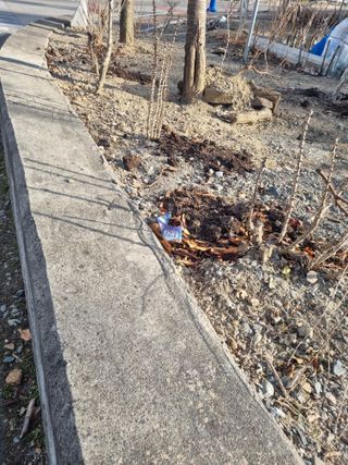 김용대님의 작성글 사진