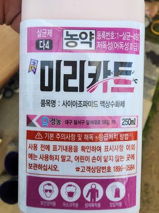 김삼천님의 작성글 사진