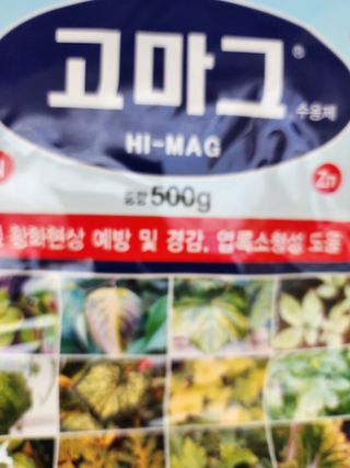 김삼천님의 오이 · 영농일지 작성글 사진