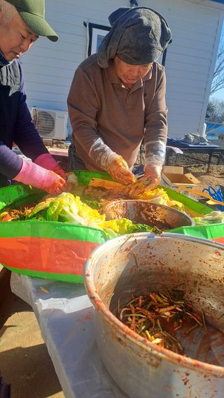 서은숙님의 배추 · 영농일지 작성글 사진
