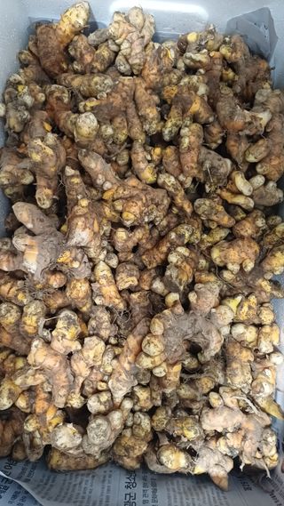 개구리5412님의 기타작물 · 영농일지 작성글 사진