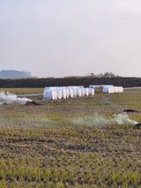 팜모닝 벼·영농일지 게시글 이미지