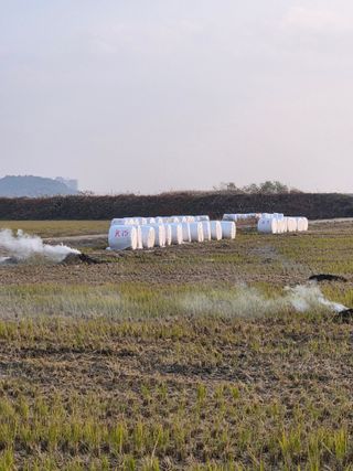 백현호님의 벼 · 영농일지 작성글 사진