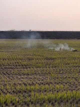 백현호님의 벼 · 영농일지 작성글 사진