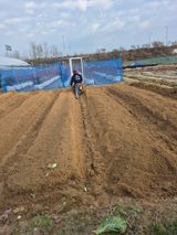 팜모닝 마늘·영농일지 게시글 이미지