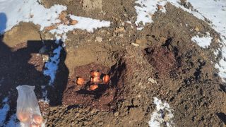 김홍중님의 기타작물 · 영농일지 작성글 사진