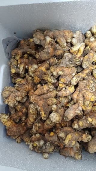 개구리5412님의 기타작물 · 영농일지 작성글 사진