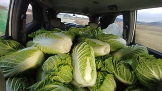 개구리5412님의 기타작물 · 영농일지 작성글 사진