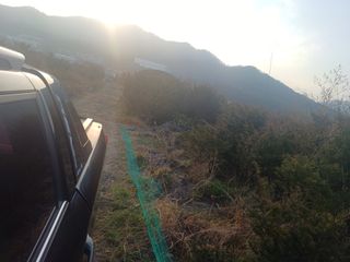 正覺님의 기타작물 · 영농일지 작성글 사진