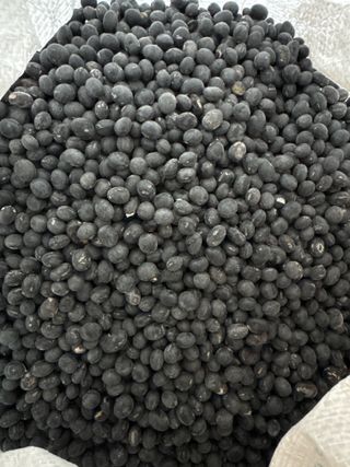 오작교농장님의 콩 · 영농일지 작성글 사진