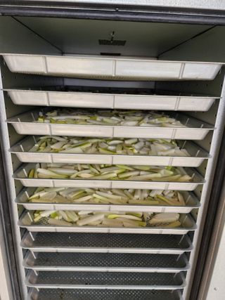 조정권님의 기타작물 · 영농일지 작성글 사진