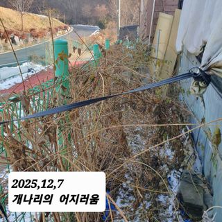 시민농장님의 기타작물 · 영농일지 작성글 사진