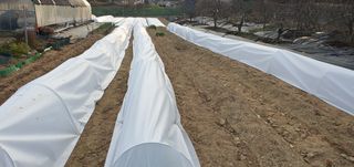 박상중님의 기타작물 · 영농일지 작성글 사진