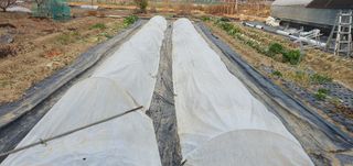 박상중님의 기타작물 · 영농일지 작성글 사진