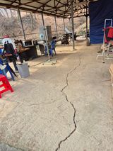 팜모닝 기타작물·영농일지 게시글 이미지