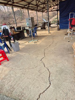 엉뚱님의 기타작물 · 영농일지 작성글 사진