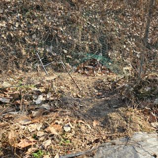 양배추21889님의 복숭아 · 영농일지 작성글 사진