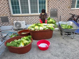 앵매도리님의 기타작물 · 영농일지 작성글 사진