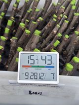 팜모닝 기타작물·영농일지 게시글 이미지