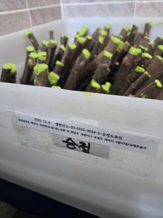 박종민님의 기타작물 · 영농일지 작성글 사진