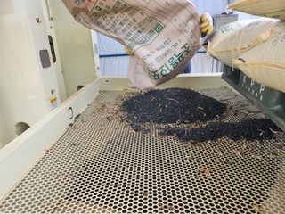 황미순님의 콩 · 영농일지 작성글 사진