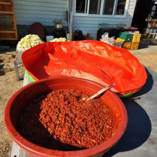 유원준님의 고추 · 영농일지 작성글 사진