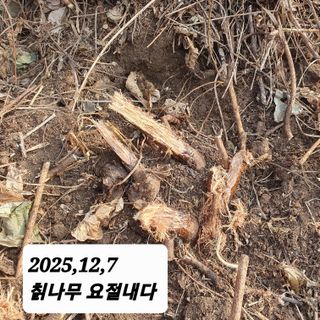 시민농장님의 기타작물 · 영농일지 작성글 사진