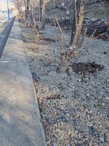 김용대님의 작성글 사진