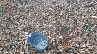 월굴리이승재님의 기타작물 · 영농일지 작성글 사진