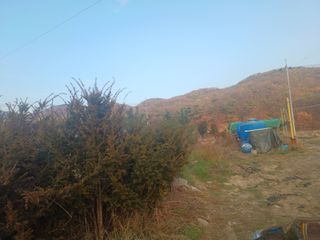 正覺님의 기타작물 · 영농일지 작성글 사진