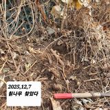 팜모닝 기타작물·영농일지 게시글 이미지