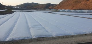 시금치28751님의 기타작물 · 영농일지 작성글 사진