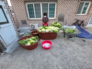 앵매도리님의 기타작물 · 영농일지 작성글 사진