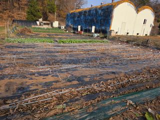 이상철님의 기타작물 · 영농일지 작성글 사진