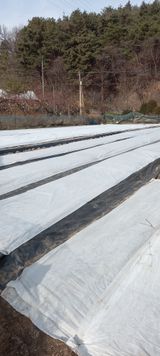 고병길님의 작성글 사진